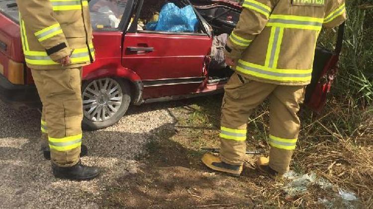 Ağaç otomobilin üzerine devrildi; baba öldü, oğlu yaralı