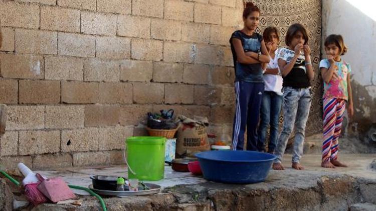 Nusaybindeki çatışmalarda evleri yıkılan 12 kişilik Kurmaz ailesinin dramı