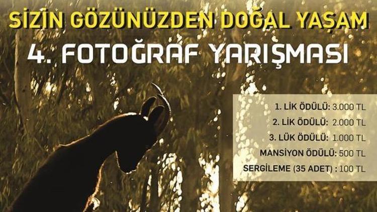 Sizin gözünüzden doğal yaşam