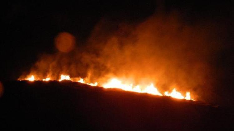 Mudanyada Ro-Ro iskelesi yapılacak alandaki orman yangını Meclise taşındı