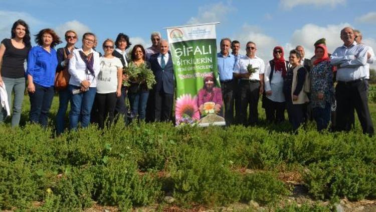 Çiftçi kadınların elleri şifa dağıtacak