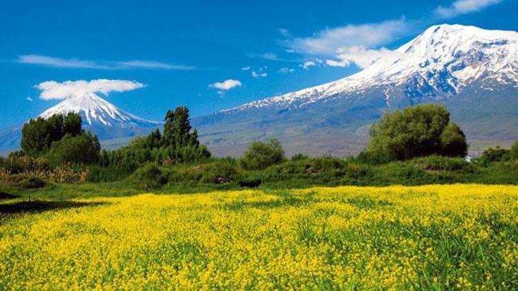 Doğunun Çukurovasının meyve ve sebzeleri yurt dışı pazarında