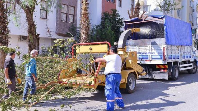 Ağaç dalları, bahçe atıkları gübreye dönüşüyor