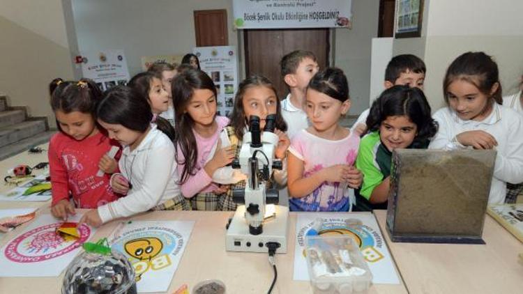 Öğrenci ve öğretmenlere böcek eğitimi verildi