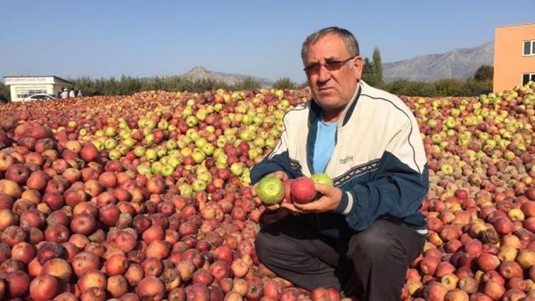 Çivrilde üreticiler elmalarını satamadı