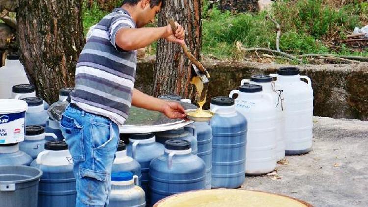 Pekmez köpüğünün tadına doyulmuyor