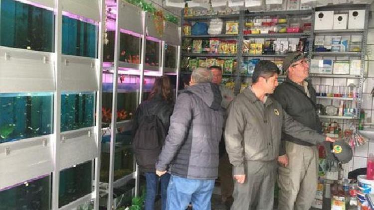 Petshop denetimleri sürüyor