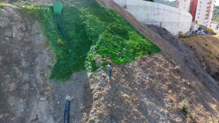 Rekreasyon alanında hydroseeding sistemi tartışması