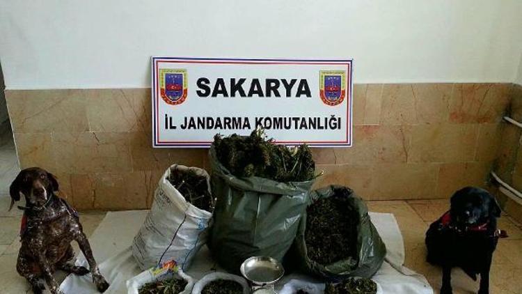 Sapancada 16 kilo esrar ele geçirildi