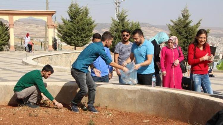 Kiliste üniversitelilerden çevre duyarlılığı etkinliği