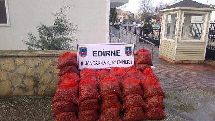 Enez’de 1 ton 200 kilo kaçak midye ele geçirildi