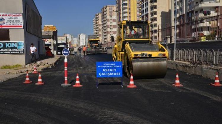 Eş Başkan Anlı, asfalt çalışmalarını denetledi