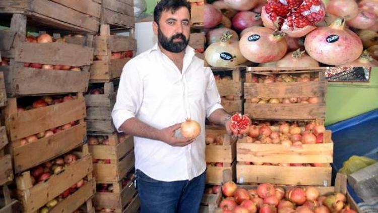 Siirt zivzik narı üreticinin yüzünü güldürdü