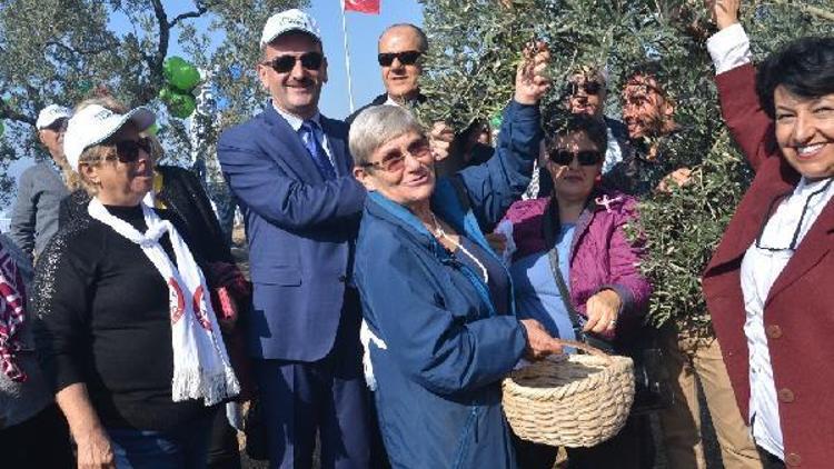 Prof. Dr. Karatay: Zeytin ve zeytinyağı doğanın bize sunduğu ana sütüdür