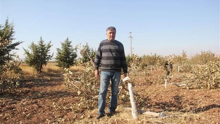 Bahçesine geldi, hayatının şokunu yaşadı