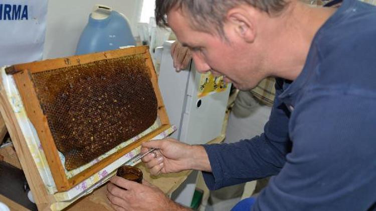 AGAM’ın ilk arı ürünleri satışa sunuldu
