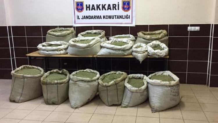 Hakkaride PKKya ait 327 kilo esrar ele geçirildi