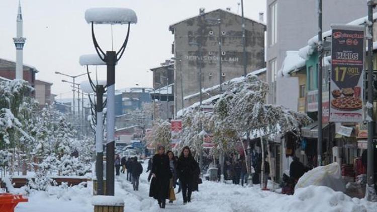 Doğu Anadoluda 411 köy yolu kardan kapandı