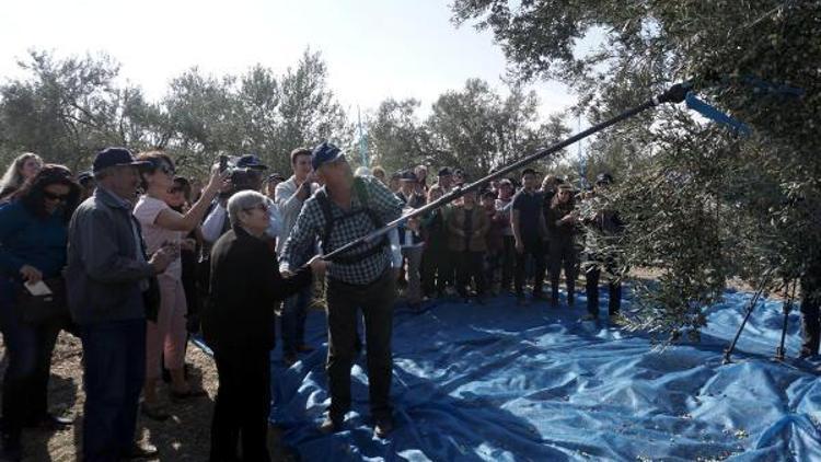 Karatay, zeytinyağı içirmek için söz yazdı (2)