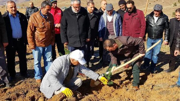 Suşehrinde 15 Temmuz şehitleri için 5 bin fidan dikildi