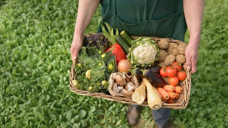 Organik tarım desteğine nasıl başvurabilirsiniz