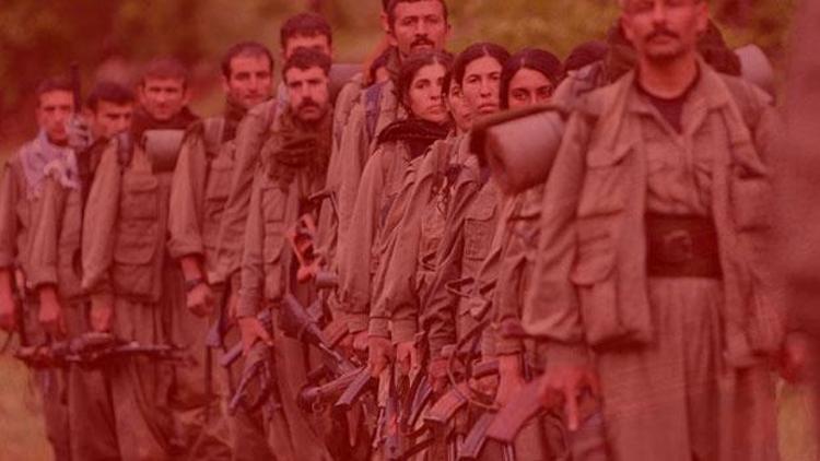 Hollandadan PKK adımı