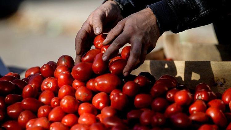 Rusya: Türkiyenin domatesler için 2-3 yıl beklemesi gerekecek