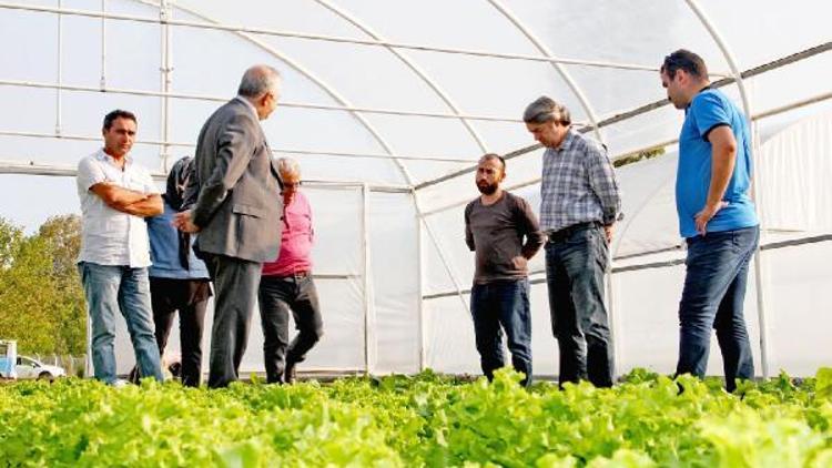 Yalova’da genç çiftçilere 813 bin destek