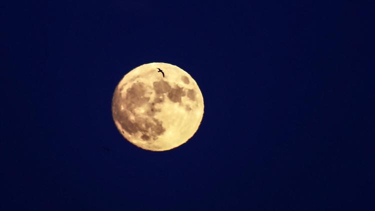 Süper Ay tutulması saat kaçta görünecek En büyük dolunay bu gece