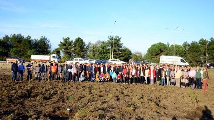 Termede 15 Temmuz Demokrasi Şehitleri Hatıra Ormanı oluşturuldu