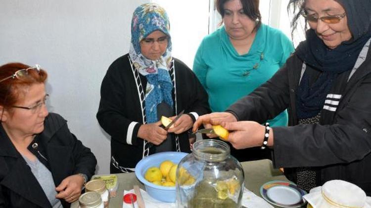 Sineklerle mücadelede kadınlara elma sirkesi dersi