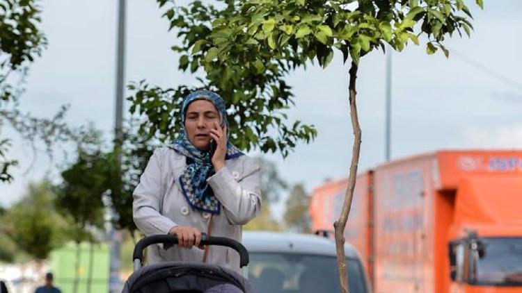 Antalya sokakları turunç kokacak