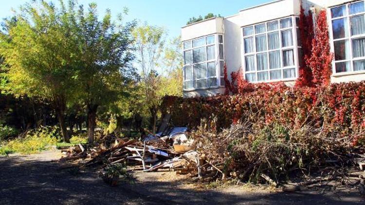 Dicle Üniversitesinde ağaç bakımı ve çevre temizliği devam ediyor