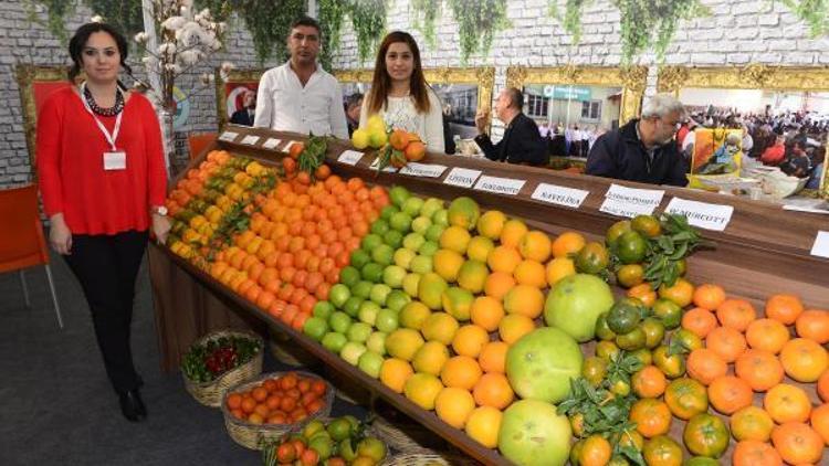 Tarım fuarına ziyaretçi akını