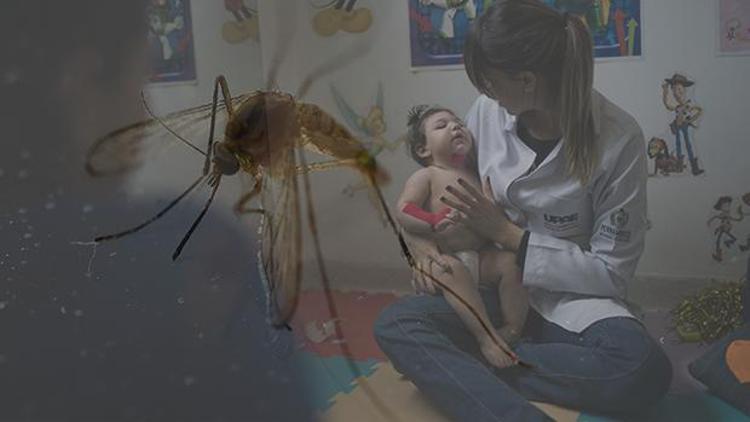 Zika virüsü için küresel acil durum kaldırıldı