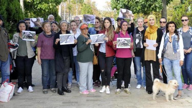 Antalyada kedi ölümleri protestosu