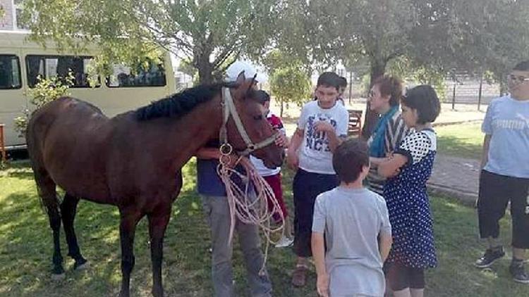 Böbrek taşını düşürmek için Hazal adlı at çalan şüpheli tutuklandı