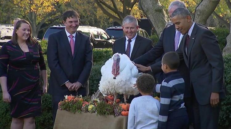 Obama, ABD Başkanı olarak son kez iki hindiyi affetti