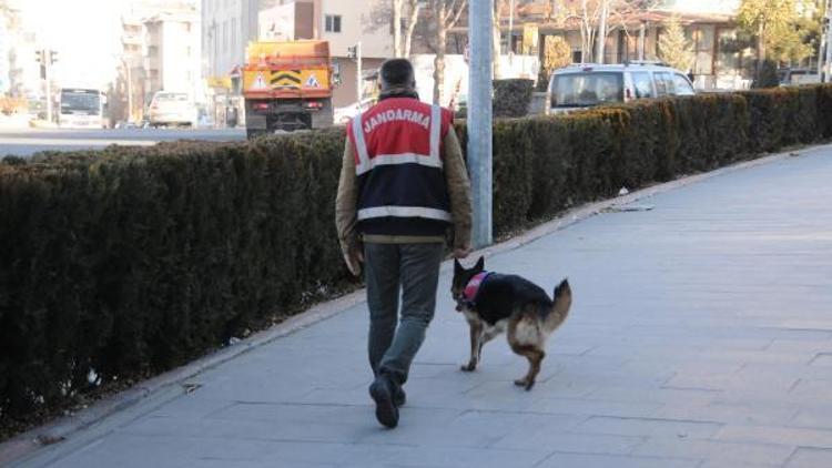 Öğretmenler Günü öncesi köpeklerle arama yapıldı