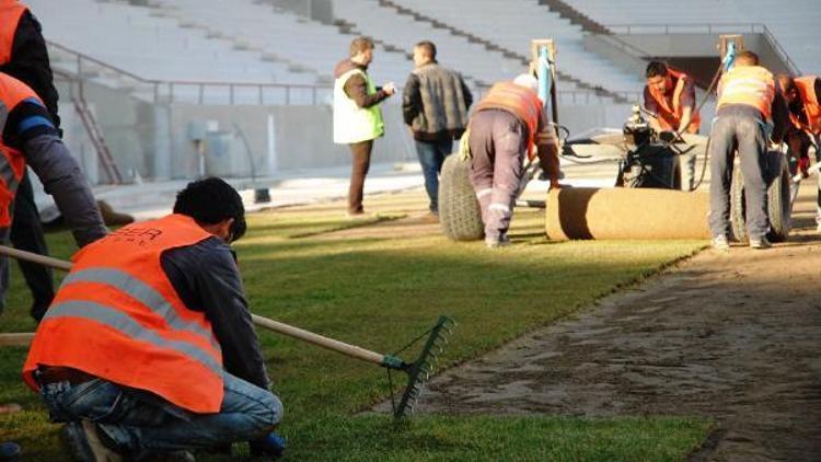 Malatya Arena Stadının çimleri serilmeye başlandı