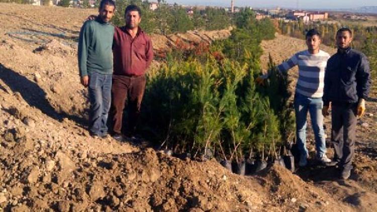 Silvanda, senin de dikili bir ağacın olsun kampanyası