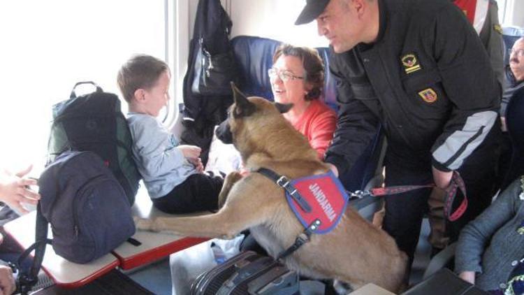 Özel eğitimli köpeklerle trende güvenlik araması