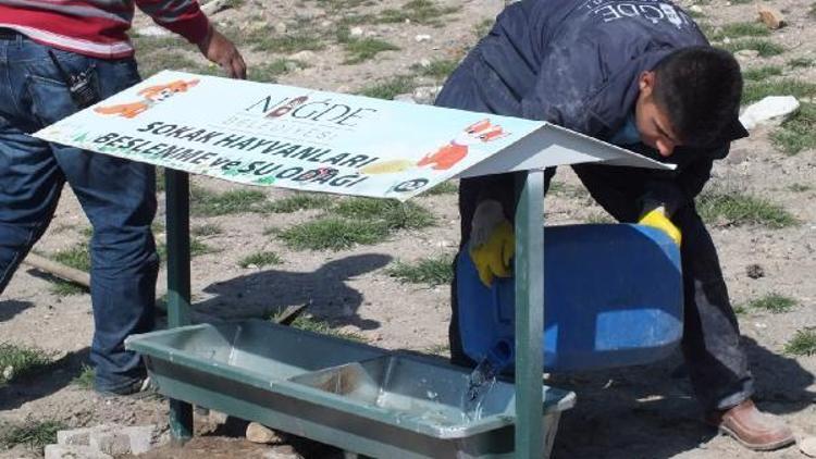 Niğde Belediyesi sokak hayvanlarını unutmadı