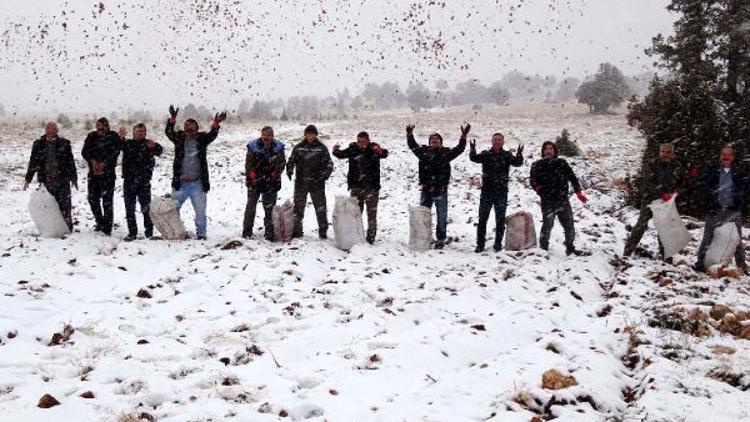 Erdemli’ye yılın ilk karı düştü, ormancılar sedir tohumu seferberliği başlattı