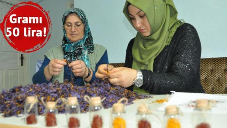 Kimse inanmadı, mucize bitkiyi yetiştirdi