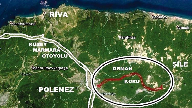 Otoyol kuzey ormanlarına kol verdi