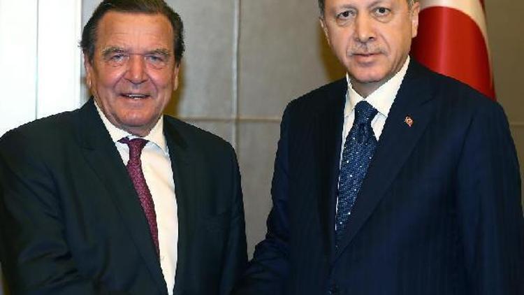 Cumhurbaşkanı Erdoğan, Schröderi kabul etti//Fotoğrafla