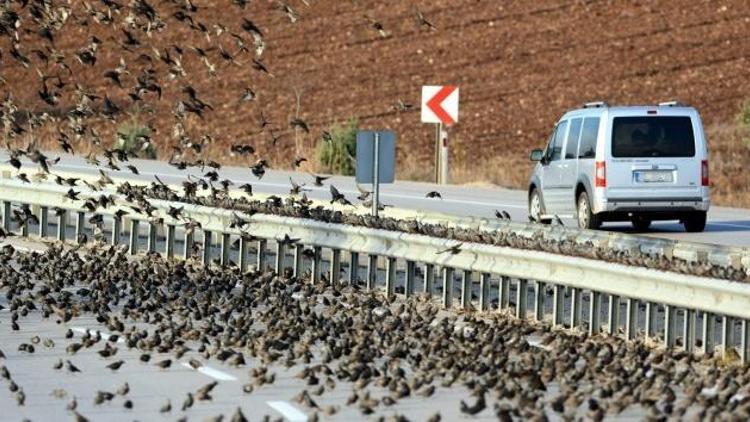 Soğuk onları da vurdu, binlercesi yolu kapattı