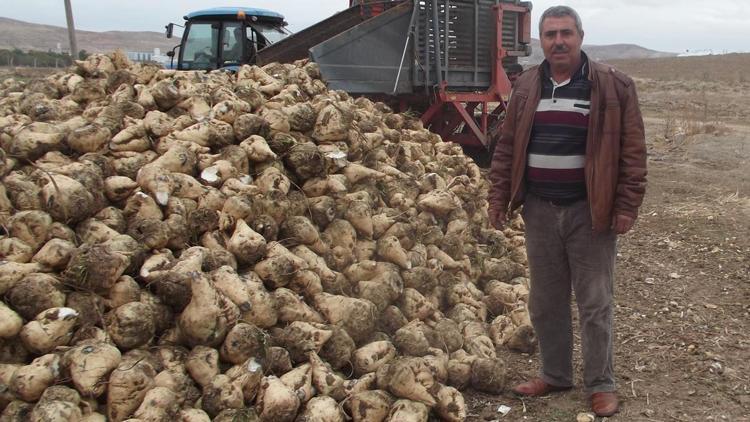 Üretici pancar fiyatına şaşırdı