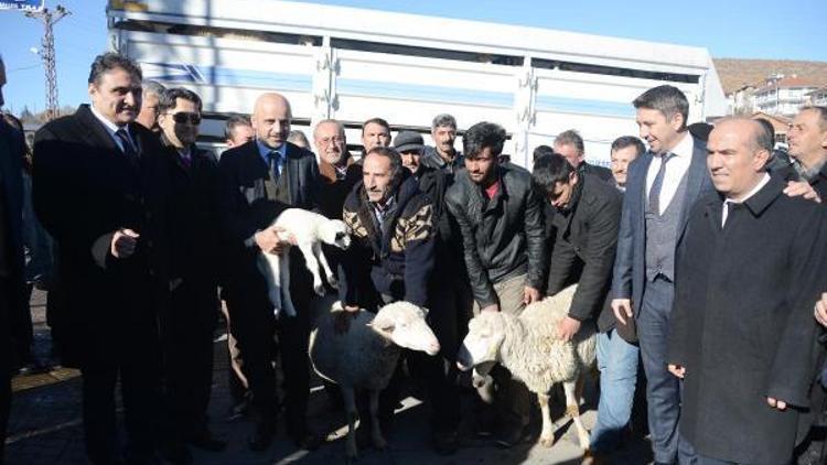 Büyükşehirden kente göçü önlemek için hayvan desteği